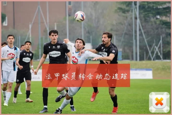 法甲球员转会动态追踪