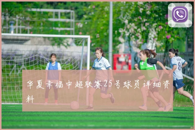 华夏幸福中超联赛25号球员详细资料
