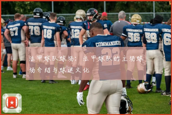 法甲球队球场：法甲球队的主场球场介绍与球迷文化