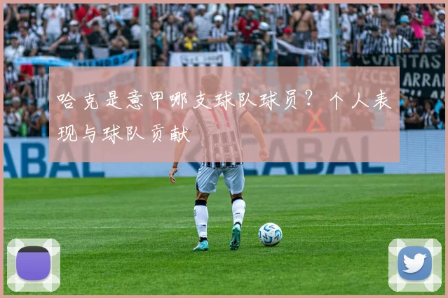 哈克是意甲哪支球队球员？个人表现与球队贡献